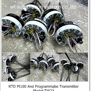 RTD PT100 And Programmabe Transitter Model : TW23